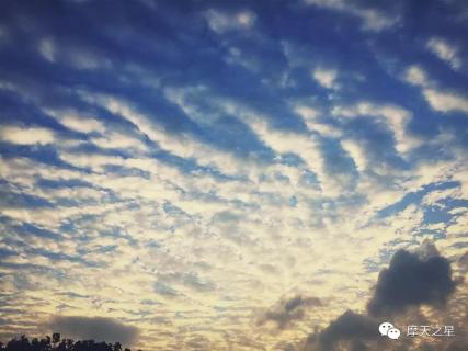 巨星国际：基于新时代下的游学模式
