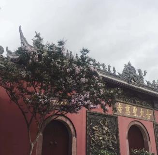 巨星国际：助力公益活动建设，实现经济效益与社会效益的双赢！
